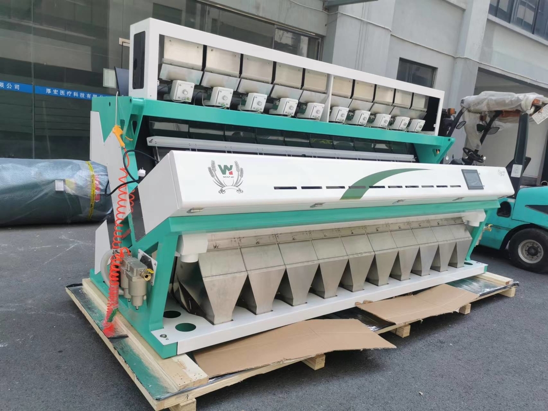 High Intelligent Deep Learning Hazelnut Color Sorting Machine Sorting di noci