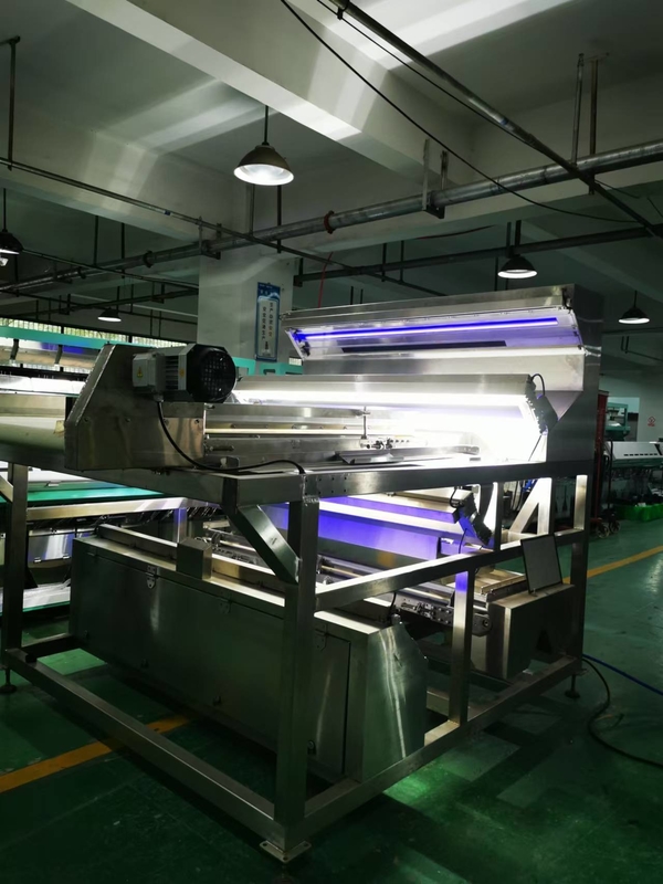 Cintura impermeabile Color Sorter per il caffè Cerezze Crisali di baco di seta verdura congelata