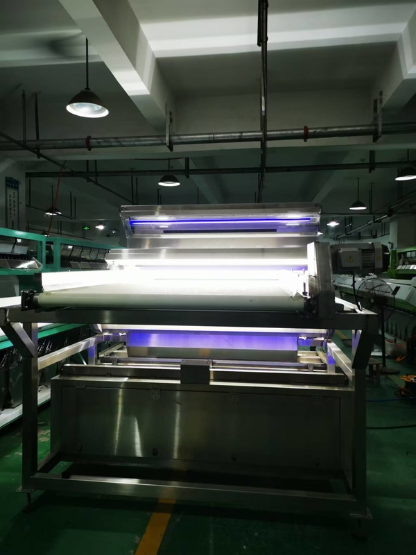 Cintura impermeabile Color Sorter per il caffè Cerezze Crisali di baco di seta verdura congelata