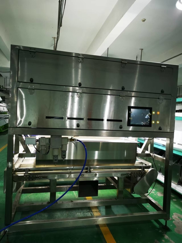 Cintura impermeabile Color Sorter per il caffè Cerezze Crisali di baco di seta verdura congelata