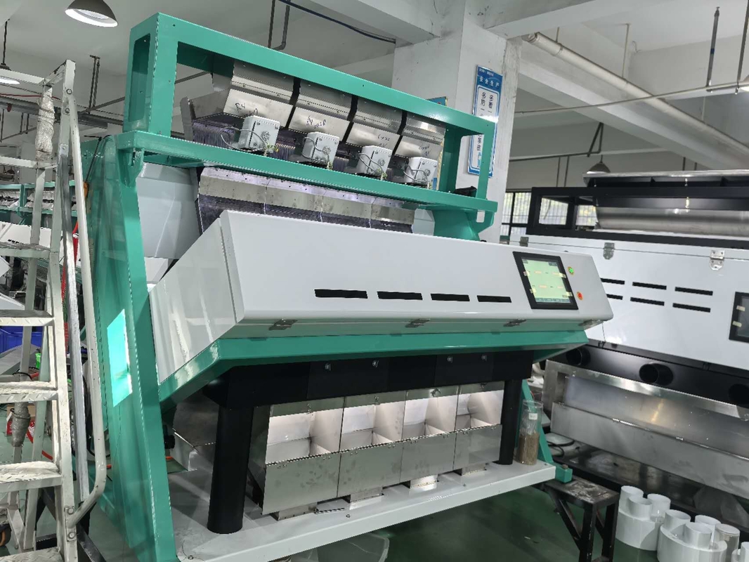 Wenyao Software avanzato CCD Color Sorting Wheat con parti importate Tamarinda Semenza Color Sorting Machine