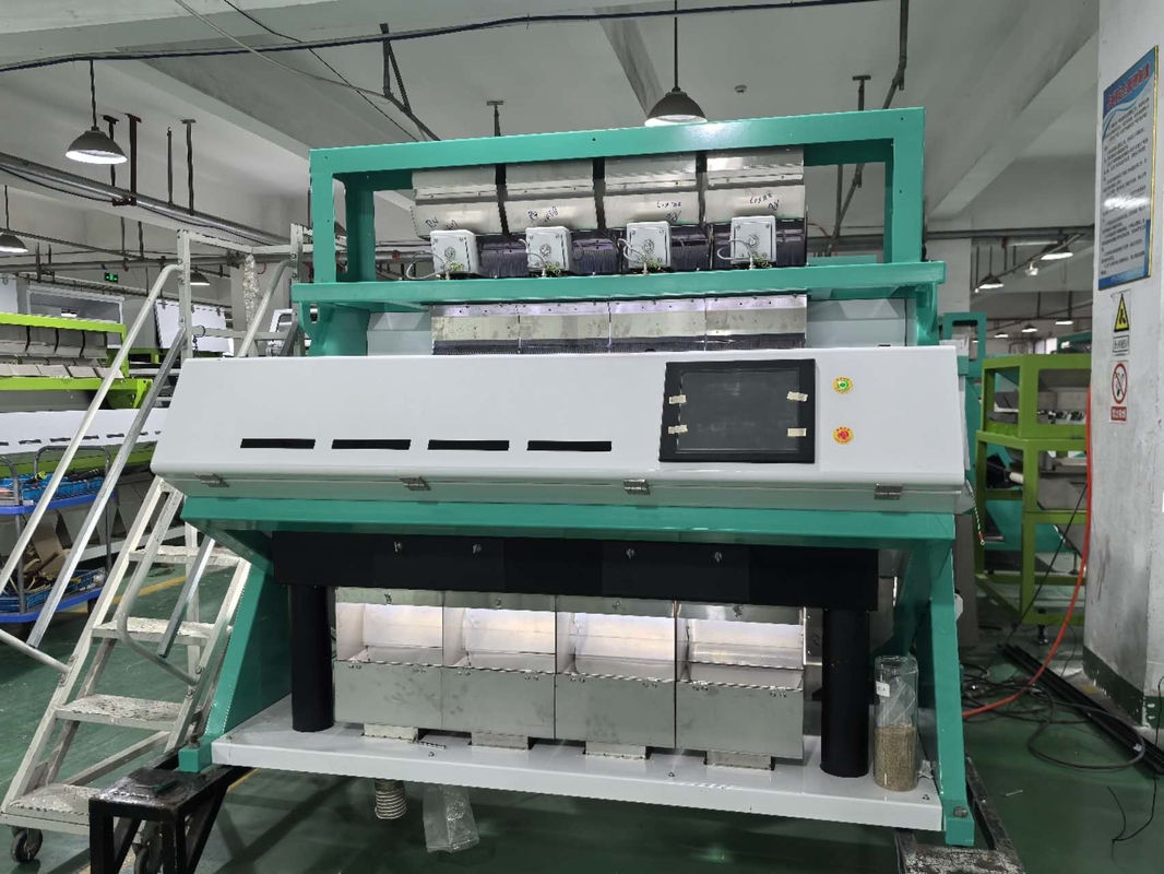 Wenyao Software avanzato CCD Color Sorting Wheat con parti importate Tamarinda Semenza Color Sorting Machine