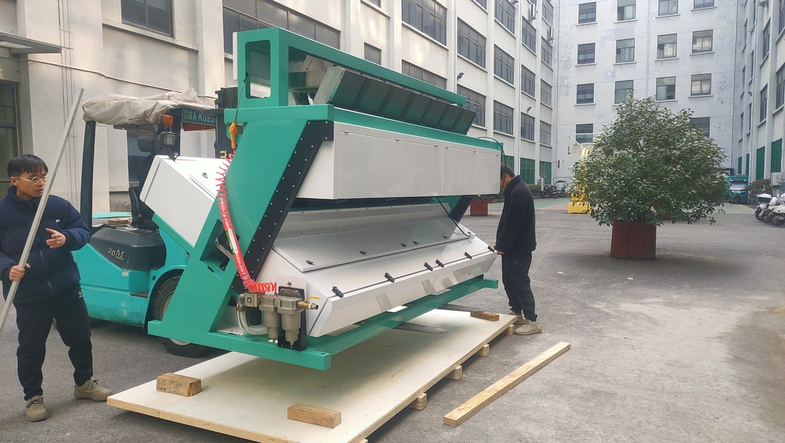 WENYAO Macchina per la selezione del colore dei semi con una precisione di selezione del 99,99%