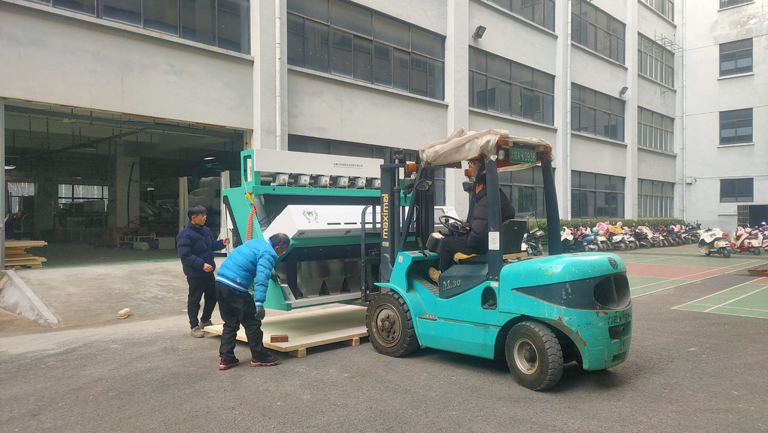 WENYAO Macchina per la selezione del colore dei semi con una precisione di selezione del 99,99%