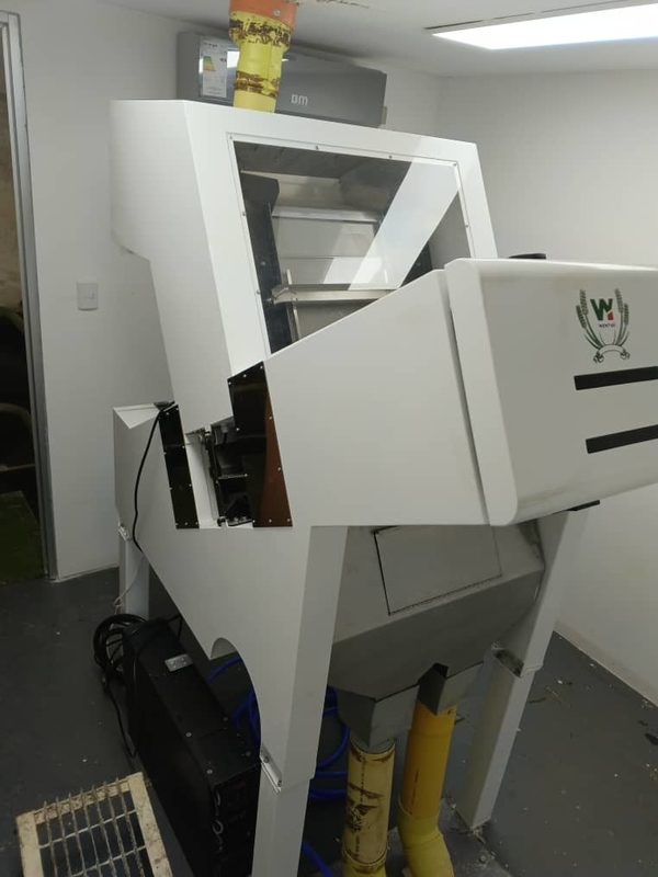 99.99% Accuratezza di Sortito Sortitore di colori di cocco RGB Fotocamere a colori completi Sortitore di colori