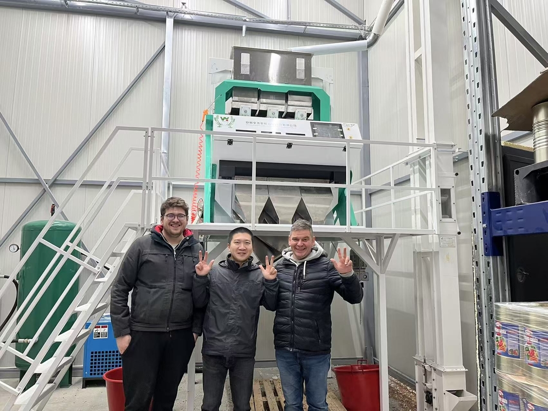 WENYAO Verme da pane Color Sorting Verme da pasto Sorting Machine