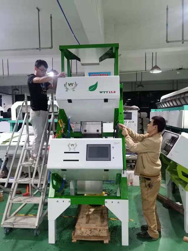 Anhui Wenyao Certificazione CE Sortitore ottico CCD macchina di classificazione dei colori del tè