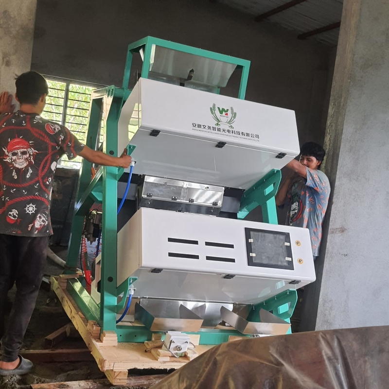 Alta efficienza CE Certificazione Optical Sorting Tea CCD Color Sorting Machine