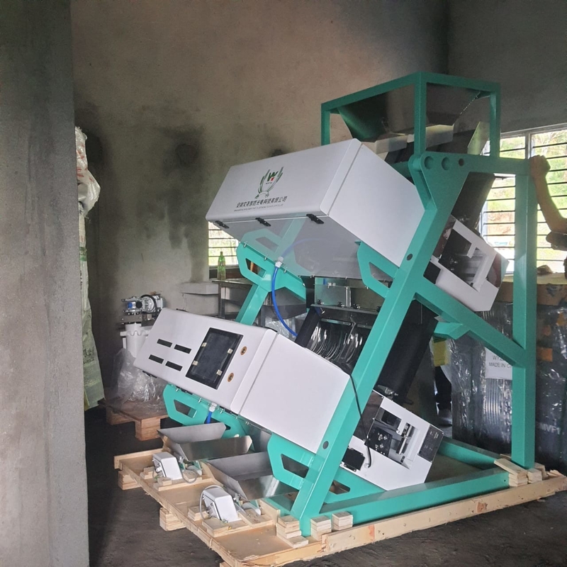 Alta efficienza CE Certificazione Optical Sorting Tea CCD Color Sorting Machine