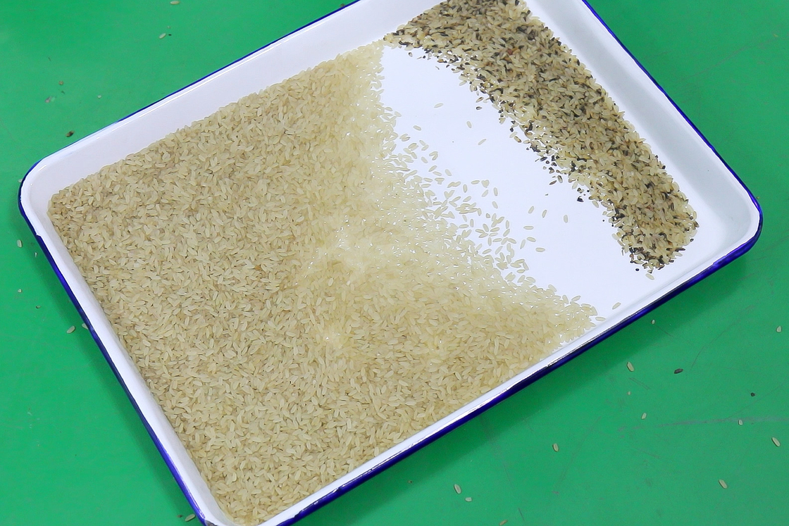 CCD RGB Ottico Intelligente Rice Color Sorting Machine / Grano / Noce / Fagioli / Color Sorting Supply In Rice Mill Factory