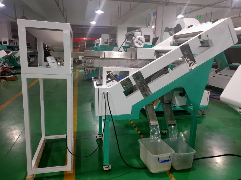 Wenyao Intelligent Coffee Cherry Color Sorting Multifunction Color Sorting Machine per frutta fresca e congelata