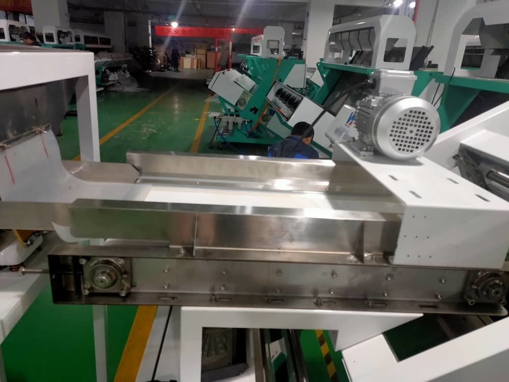 Wenyao Intelligent Coffee Cherry Color Sorting Multifunction Color Sorting Machine per frutta fresca e congelata