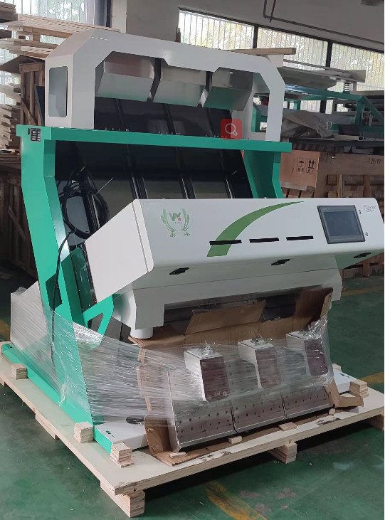 WENYAO Verme da pane Color Sorting Verme da pasto Sorting Machine