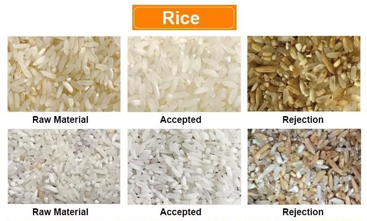Macchina di classificazione di noci e riso per la casa e la fattoria