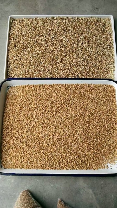 Cina Color Sorting Rice Wheat Optical Wenyao Color Sorting Machinery Fotocamera Ccd ad alta precisione 320 canali
