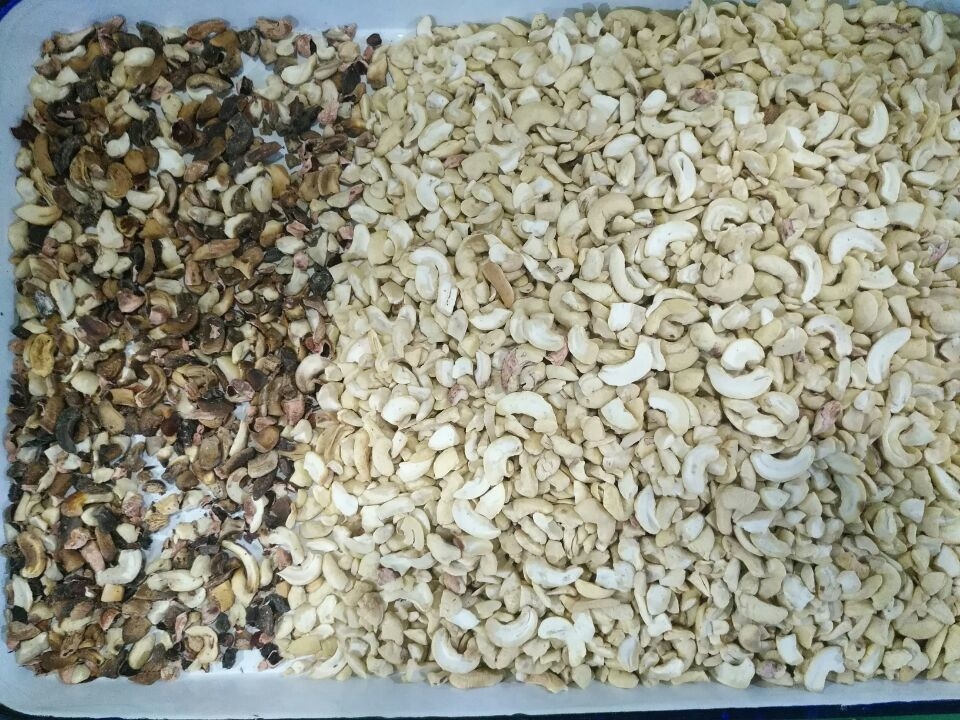 Wenyao Macadamia Color Sorting Nuts Color Selector Machine Cashew Nuts Sorting Machine