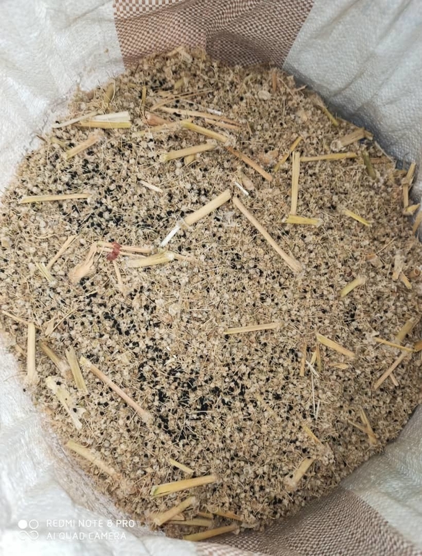 WENYAO Macchina per la selezione del colore dei semi con una precisione di selezione del 99,99%