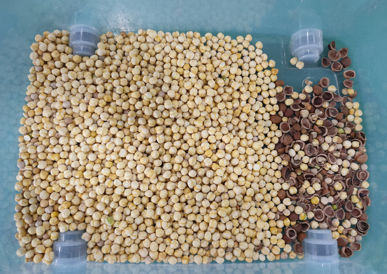 Wenyao Intelligent High Precision Pecan Color Sorting Machine Multi-Function Cashew Hazelnut Nuts Sorting Machine