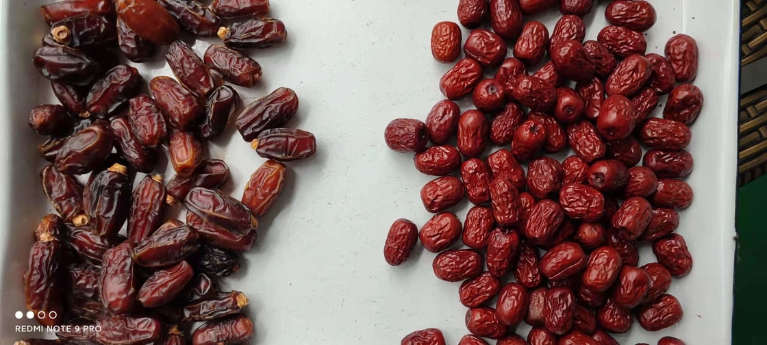 Fonte di luce LED e funzione della macchina Sortitore di forma cintura di alta capacità Sortitore di colore per la classificazione della data di jujube
