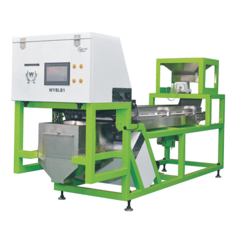 Frutta fresca congelata Seccata in fette Fragole Cranberry Separatore CCD Camera Color Sorting Machine