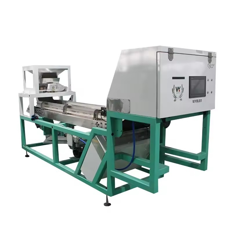 Frutta fresca congelata Seccata in fette Fragole Cranberry Separatore CCD Camera Color Sorting Machine