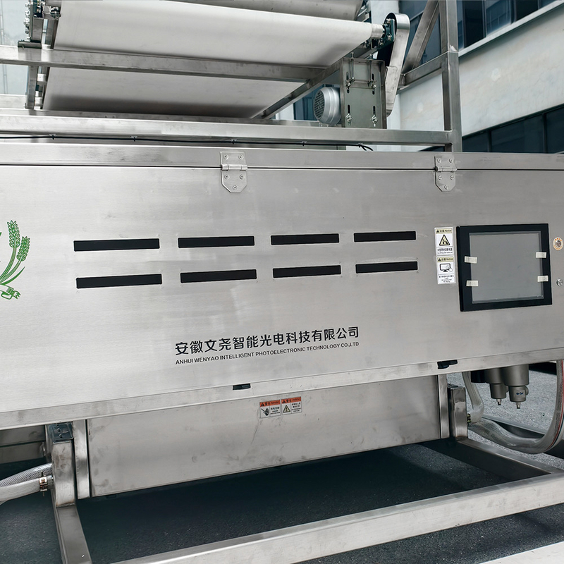 Stainless 304 Food Grade Multifunction Arabica Gomma Color Sorting Machine con prestazioni stabili