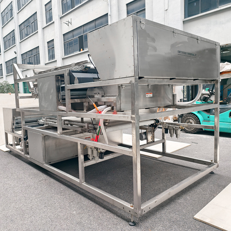 Stainless 304 Food Grade Multifunction Arabica Gomma Color Sorting Machine con prestazioni stabili