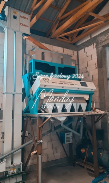 Self Design Ejectors ad alta frequenza Sesame Color Sorting Machine di WENYAO