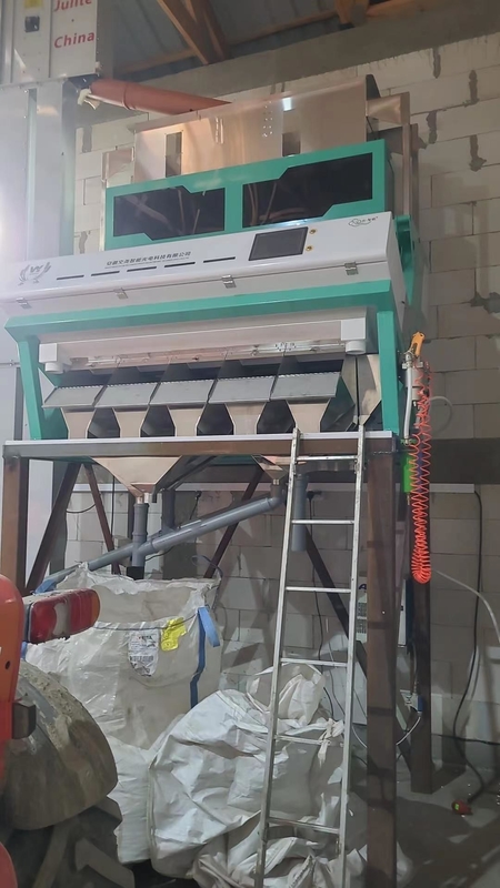 Wenyao CCD 2025 Hot Sale Spice Color Sorting Machine per il pepe di Szechuan