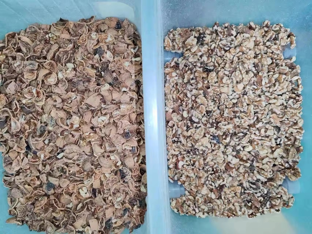 Macchina per la selezione del colore per l'aglio pelato