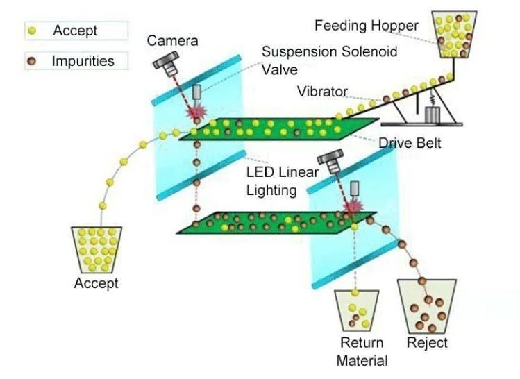 Tipo cintura Wenyao Bottiglie di plastica intera tappi Color Sorting Machine