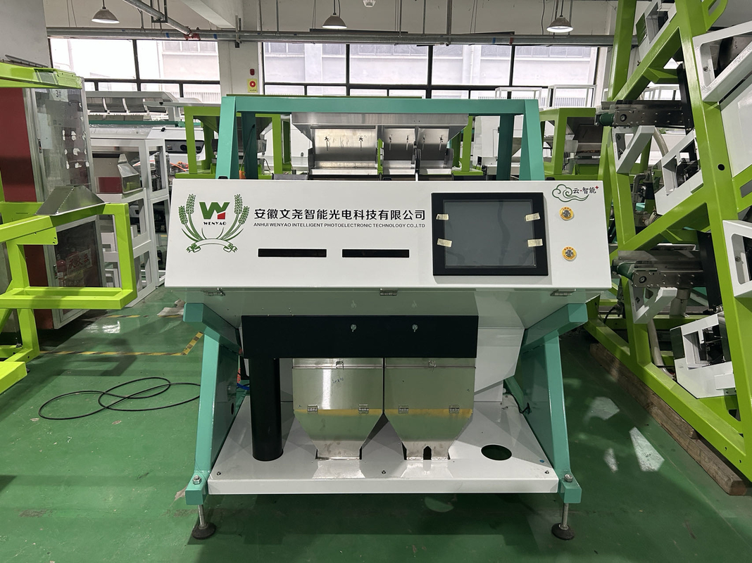 Wenyao Cina Fabbrica Noci Color Sorting Machine Automatico Color Raisin Sorting