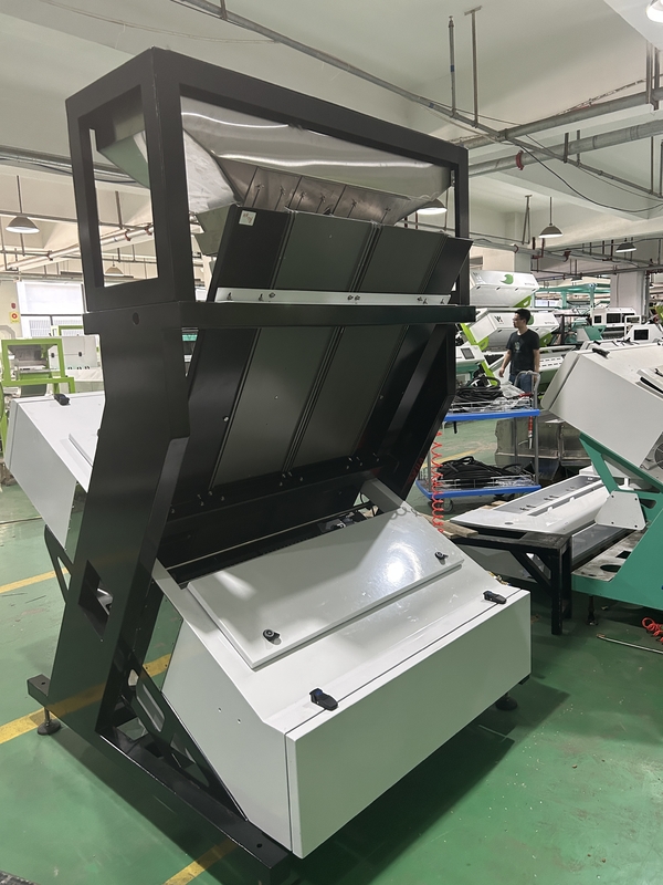 Wenyao CCD Camera Color Sorting Machine Automatic Chickpea Color Sorting