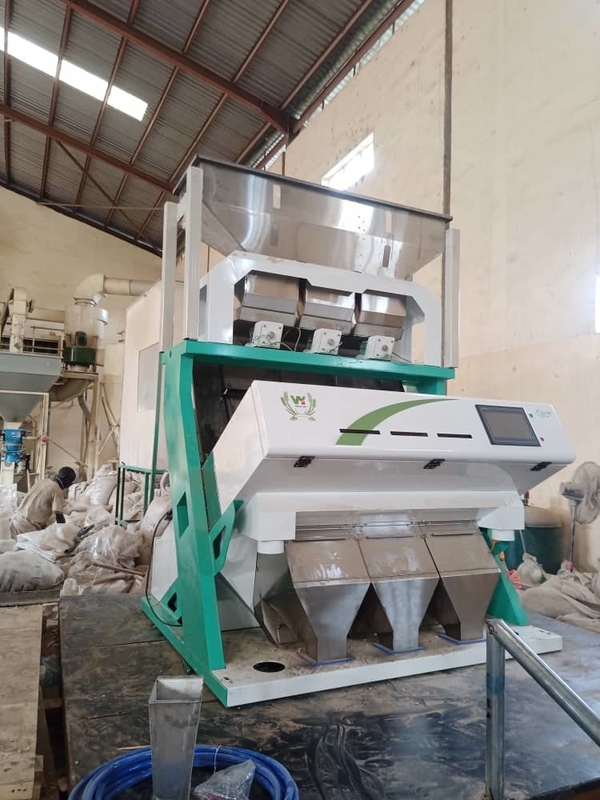 Wenyao 3 Chute Mung Fagioli Color Sorting Multifunzione Fagioli Color Sorting Machine