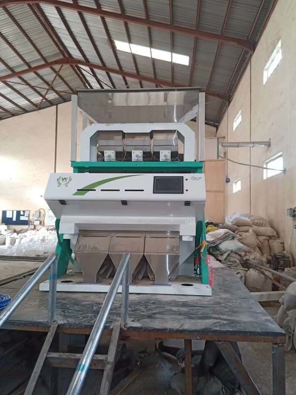 Wenyao Hazelnut Color Sorter CCD Camera Nuts Color Sorting Equipaggiamento
