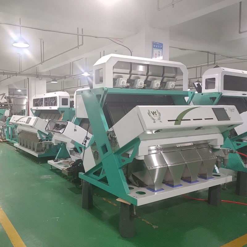 Wenyao Automatic Hazelnut Color Sorting Multifunction Nuts Color Sorting Machine