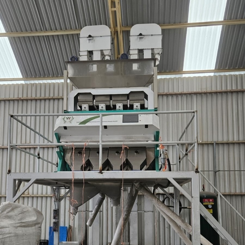 Wenyao Automatic Hazelnut Color Sorting Multifunction Nuts Color Sorting Machine