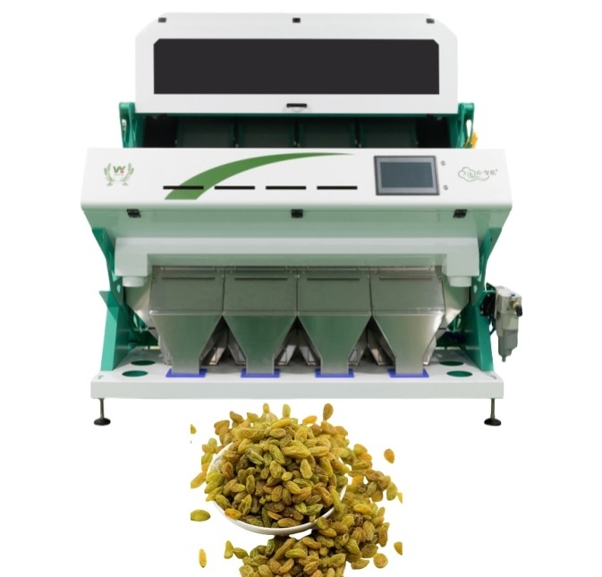 Controllo remoto 256 canali Popolare Color Sorting Machine con il software più recente