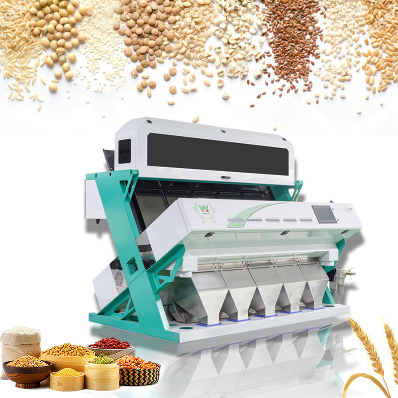 Wenyao 5 Chute Intelligent Color Selezionatrice Multifunzione Selezionatore di colori di grano