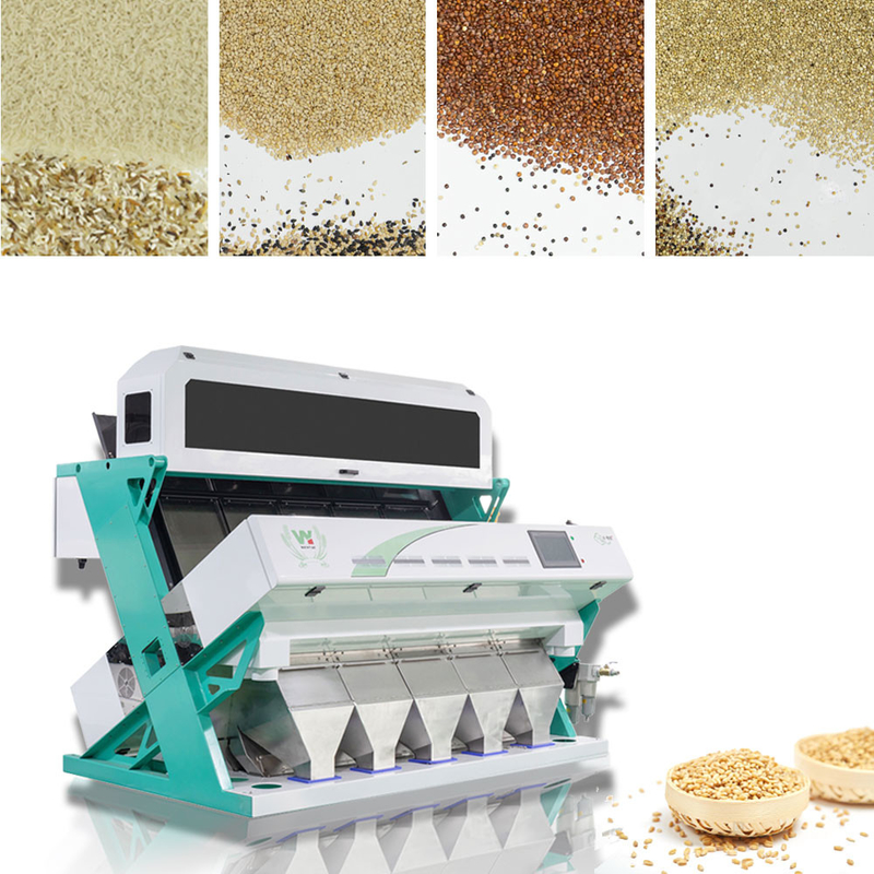 Wenyao 5 Chute Color Sorting Machine Intelligent Sesame Color Sorting