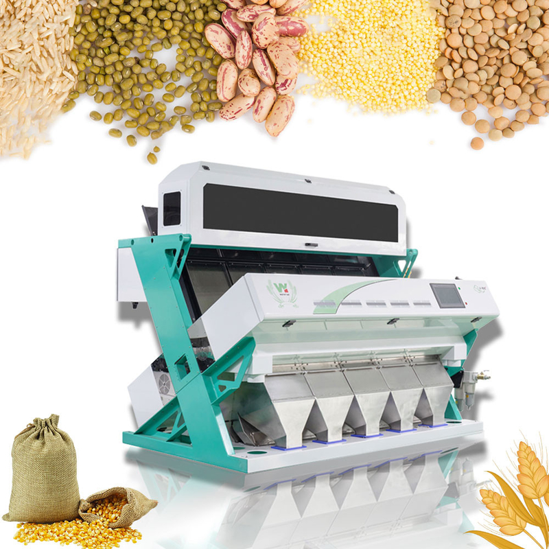 Wenyao Black Bean Color Sorting Machine Automatic Beans Color Sorting con telecomando