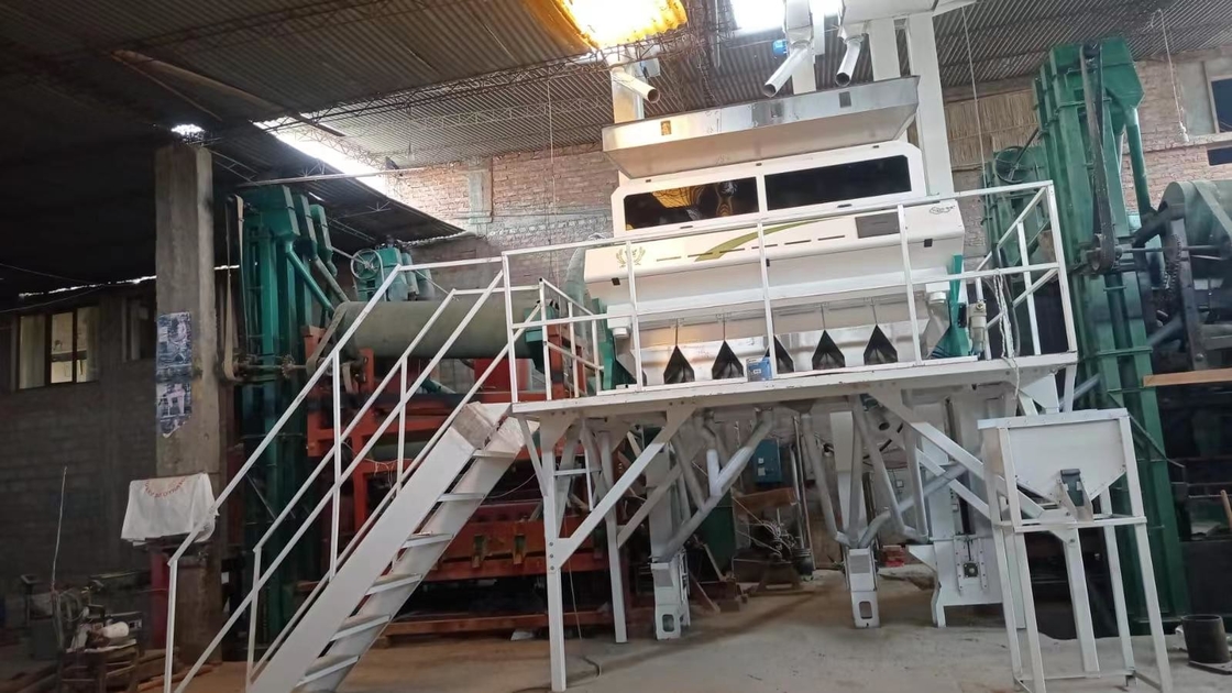 Wenyao Intelligent CCD Camera Color Sorting Peanut Color Sorting Machine