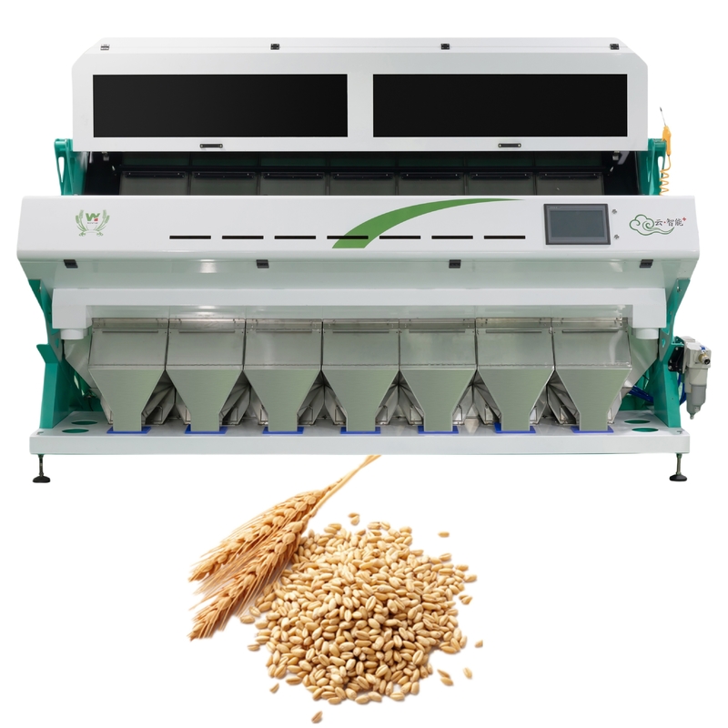 Wenyao Intelligent 7 Chute Color Separation Machine Color Sorter del grano