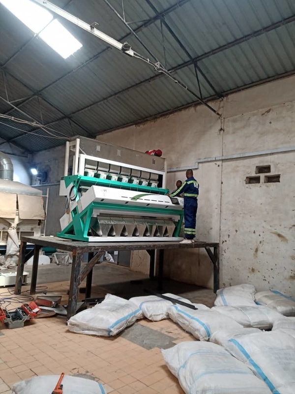Wenyao 7 Chute Produttore cinese Color Sorting Machine Chickpea Color Sorter