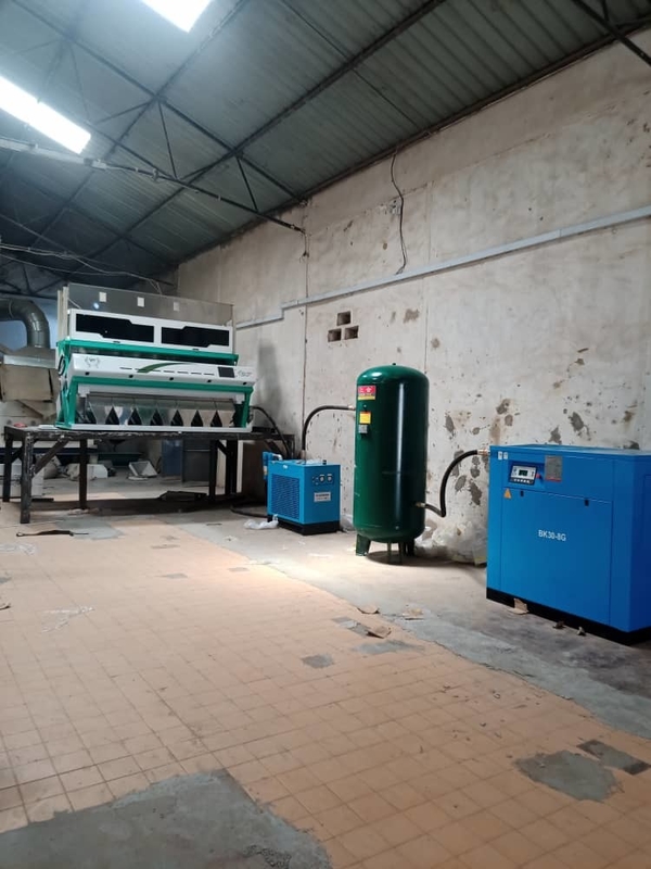 Wenyao Noce di Noce Color Sortatore Noci Color Sorting Machine