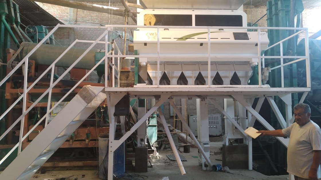 Wenyao CCD Camera Intelligente Colore Sortatore Uvetta Color Sorting Machine