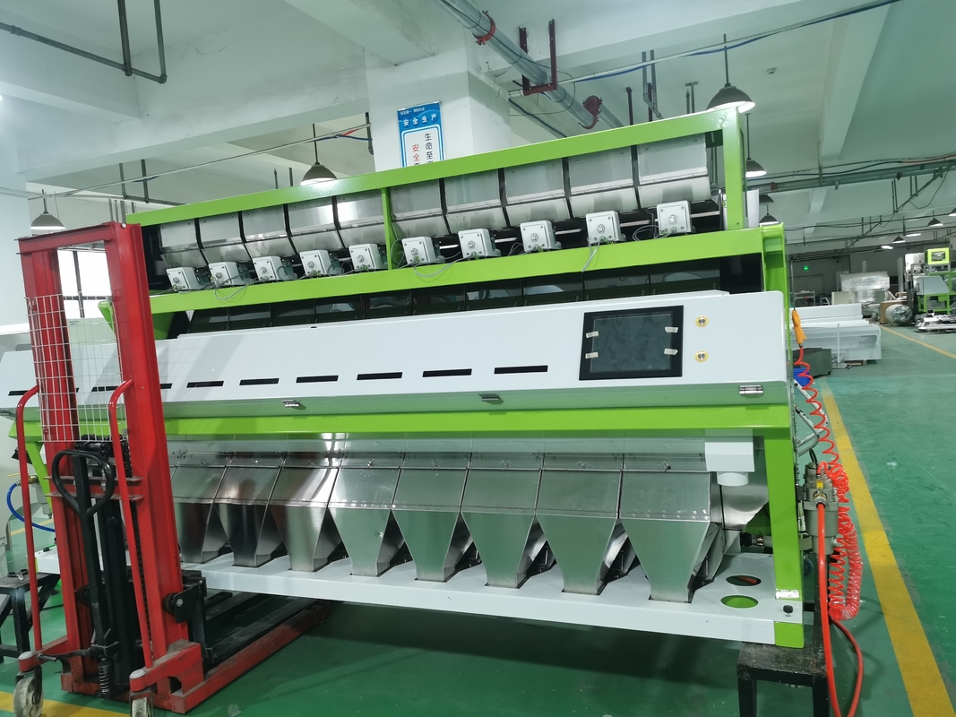 GORDON EURYALE SEED Color Sorting Machine Noci Sorting Macadamia Noce Color Sorting Machine