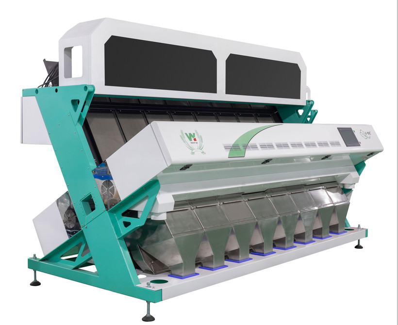 Wenyao Chute stile grande precisione di classificazione macchina di classificazione dei colori di caffè Fagioli Color Sorter