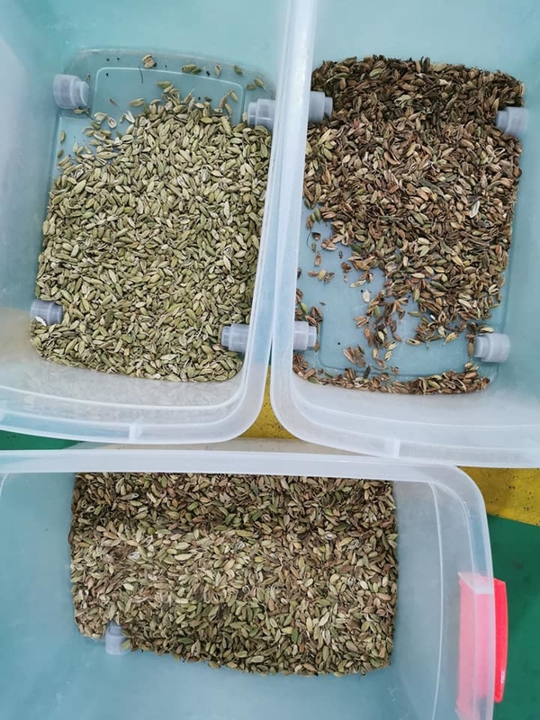 Selezionatrice automatica del colore del cardamomo della selezionatrice di colori professionale Wenyao