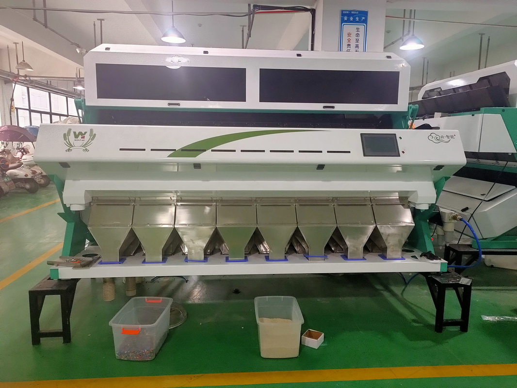 WenYao Turchia fico color hazelnut sorter riso CCD caffè fagioli di arachidi sorter ottico